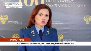 Новости Камчатки за 11 марта 2025 года