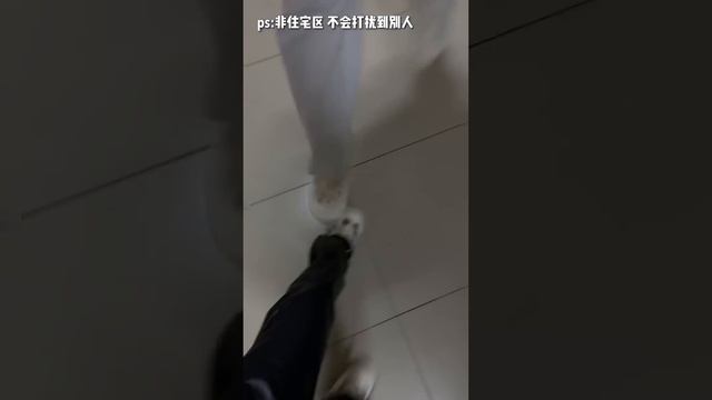 Jannatul☘️Mitsuisen✨Couple ASMR Skincare Routine & Eating✨Best Skincare ASMR💕Beauty Secrets Vlog🌿35 смотреть онлайн