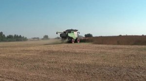 Claas Lexion 770 и 760 на уборке сои 21.09.2018