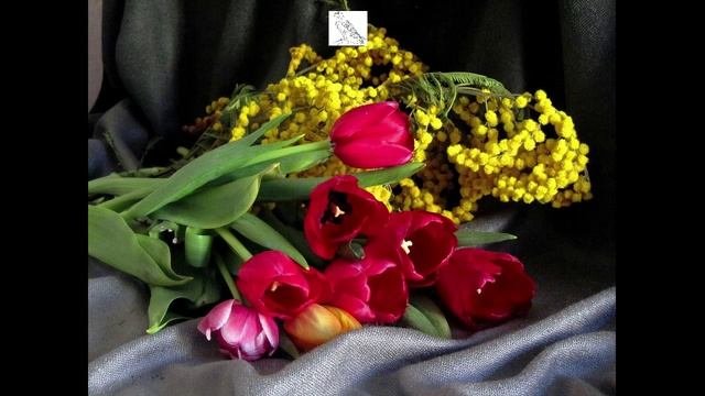 МИМОЗЫ