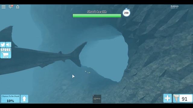 Нарвались на акулу вместе с клеосменом!Shirk Bite 2-я часть! смотреть онлайн