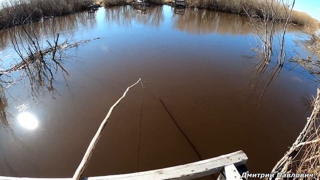 ВЫШЕЛ ЗА ОГОРОД И НАДУБАСИЛ РЫБЫ! КАРАСИ И ПЛОТВА ПОЧТИ КАЖДЫЙ ПОДЪЁМ. Рыбалка на паук- подъёмник смотреть онлайн