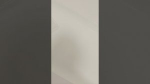 Гекконы на корабле в закрытом плаванье.