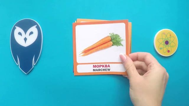 Вчимо назви овочів польською | Видавництво СОВА смотреть онлайн