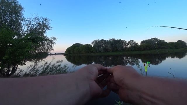 Какие же Они Здоровые - Эти Лещи под Кустом!!! Рыбалка с Ночевкой на Днепре. Крупный Лещ на Фидер.