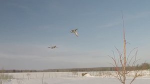 "Дельтаплан"