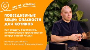 Это не страшно. Повседневные вещи, опасности для котиков