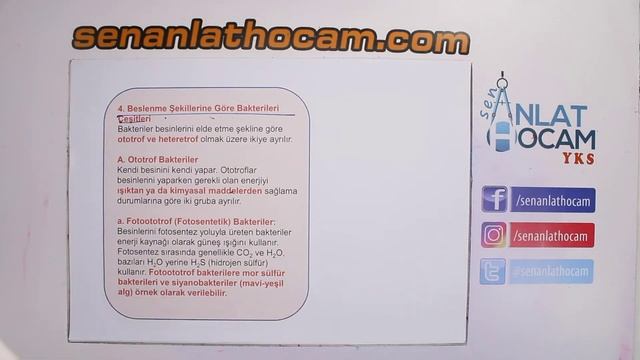 CANLILARIN SINIFLANDIRILMASI | 5 |BAKTERİ ÖZELLİKLERİ 2 (ÖĞRENME GARANTİSİ) | 9.SINIF |  (2020) ✅ смотреть онлайн