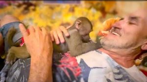 СМЕХОТА и МИЛОТА! Уложить Люси спать ТА ЕЩЁ ЗАДАЧА, Люся вместе с Владом ПОЁТ себе КОЛЫБЕЛЬНУЮ!