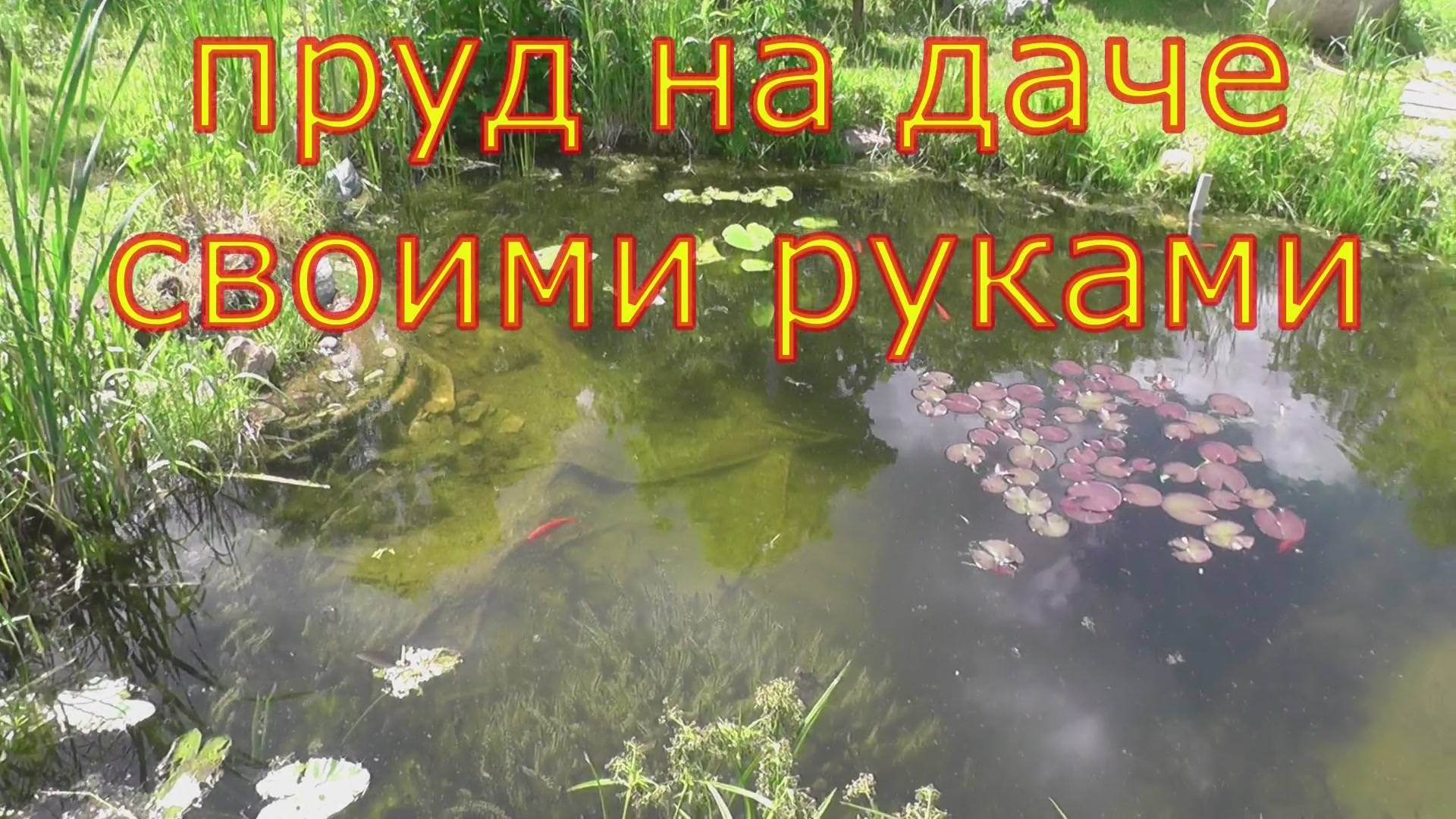 пруд своими руками на дачном участке