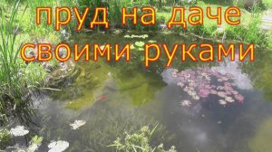 пруд своими руками на дачном участке