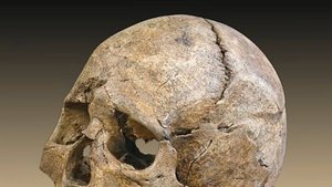 #30 Человечество в эпоху мезолита. Часть 2. Мезолит в Северной Европе