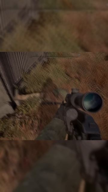 Stalker 2 Смешные случайные моменты 1