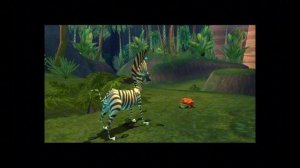 Лягушачьи фрукты - Мадагаскар #14