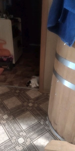 играю в андертейл заново