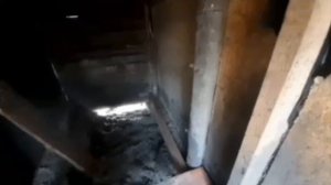 Спас свиней от плохого хозяина. Жизнь в деревне