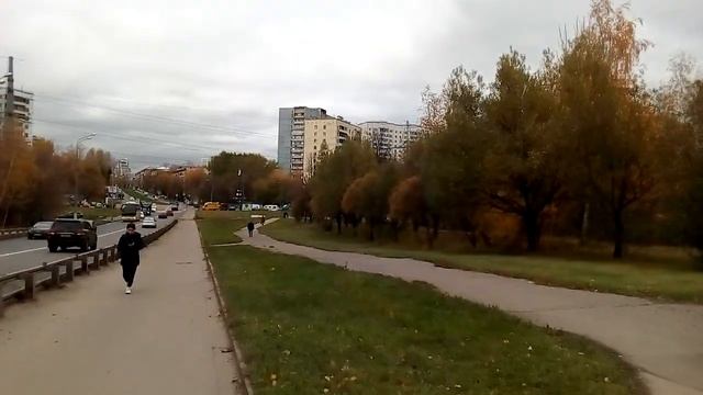 Москва 963 улица Ремизова осень день