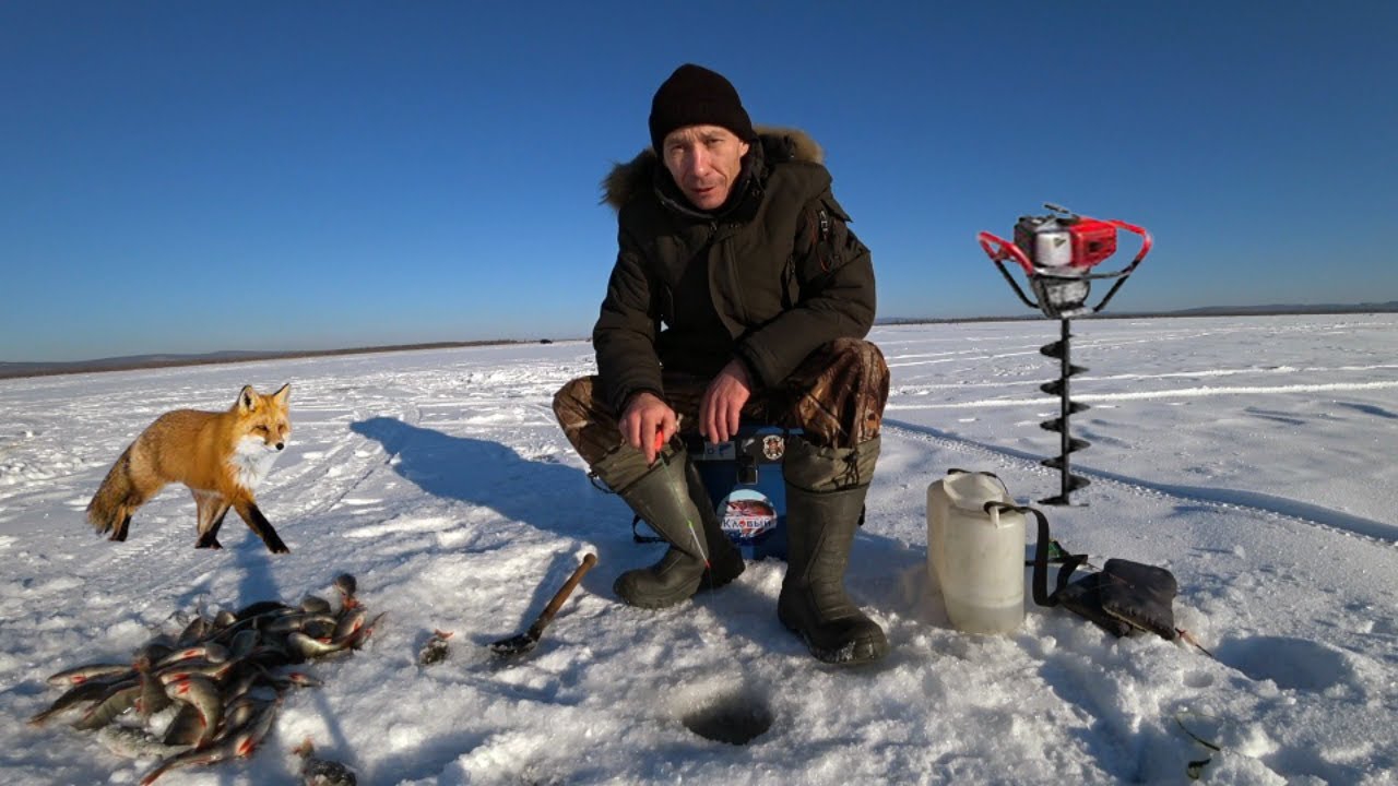 Рыбалка на окуня зимой на мормышку.