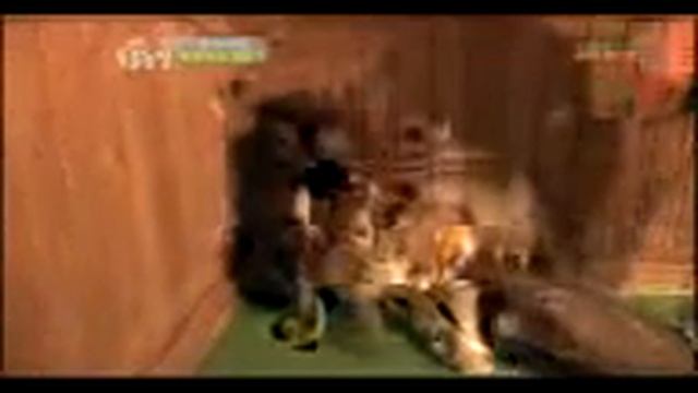 испуг смотреть онлайн