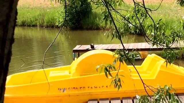 . Выдра смотреть онлайн