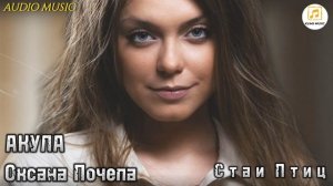 АКУЛА ( Оксана Почепа) - Стаи Птиц / audio music /. mp4