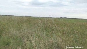 Охота на утку! Осень 2023г.