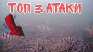 Топ 3 Лучших Атак Окуня на Балансир!!! Подводная съемка.