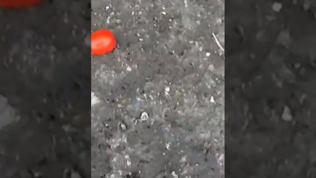 Кошка играет с клубком на мусоре смотреть онлайн