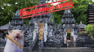 играю в мосс в VR!