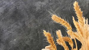 Tushda Bug'doy Ko'rish Tabiri