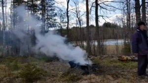 Забрались в глушь, где  озеро кишило огромными карасями-монстрами #рыбалка #рыбалканаозере #fishing