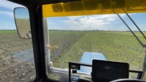 Результат работы междурядного культиватора КПК 5.6 АГРОТЕХ.