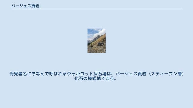 バージェス頁岩 смотреть онлайн
