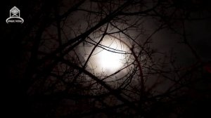 Так много сожалений