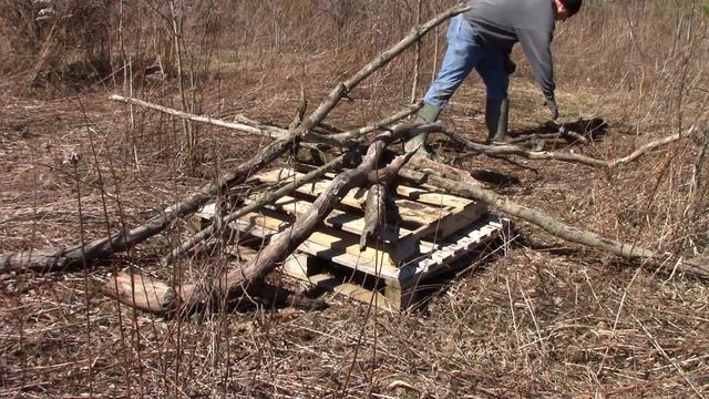 Building Brush Piles for Rabbits and Wildlife