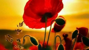 Если сердце томится [христианская песня]