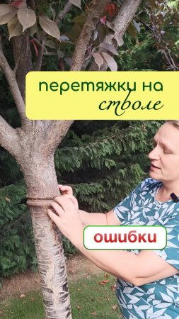 ПЕРЕТЯЖКИ на стволе