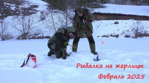"Горели флажки..." На пороге весны. Ловля щуки на жерлицы. Февраль 2025.