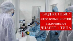 Самая бюджетная программа клеточной терапии стволовыми клетками сахарного диабета 1 типа