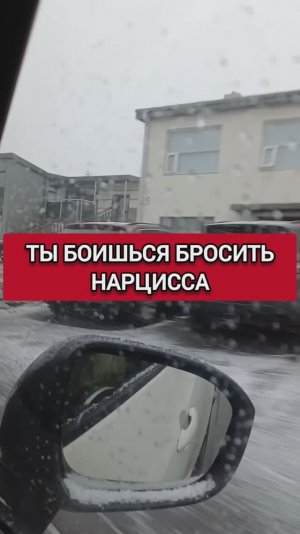 ТЫ БОИШЬСЯ БРОСИТЬ НАРЦИССА...