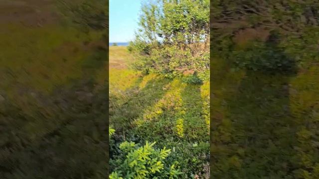 Терский берег 2024 ч.3