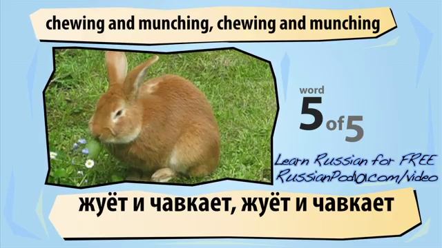 Learn Russian with Video - Common Animals смотреть онлайн