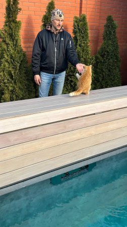 Котики правят миром | Строительство бассейнов в Ростове-на-Дону #poolmann #бассейнподключ