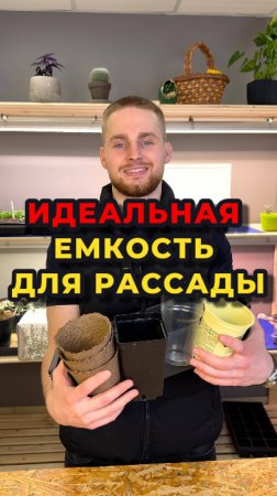 Какую тару лучше всего использовать для выращивания рассады?