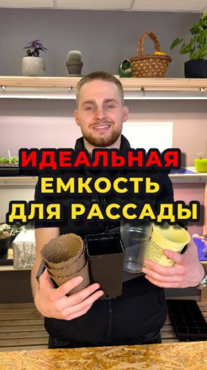 Какую тару лучше всего использовать для выращивания рассады?