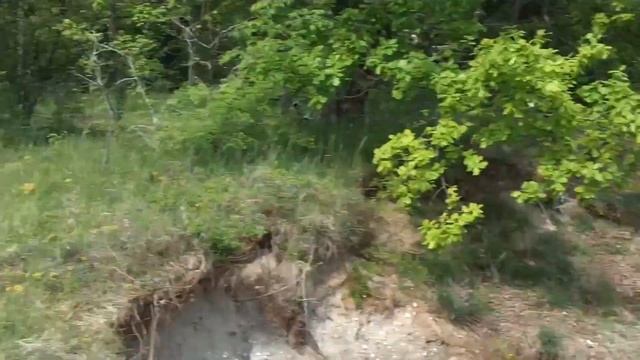 MOTO PW 80 смотреть онлайн