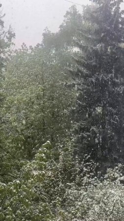 Moscow snowfall in May