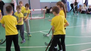 ФЛОРБОЛ В ШКОЛЕ