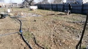 Работаю в саду, сегодня +15