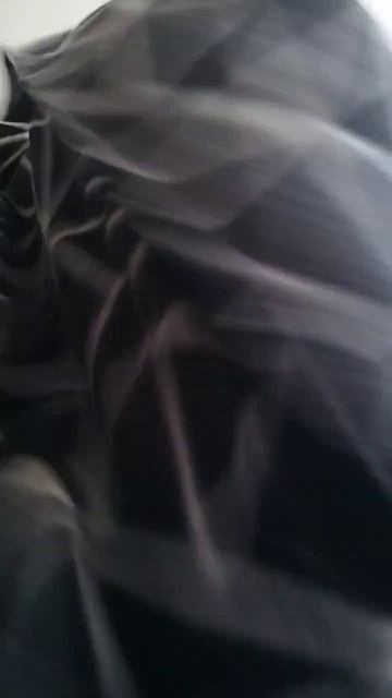 # мою кошку съела байка😭😭😭 смотреть онлайн